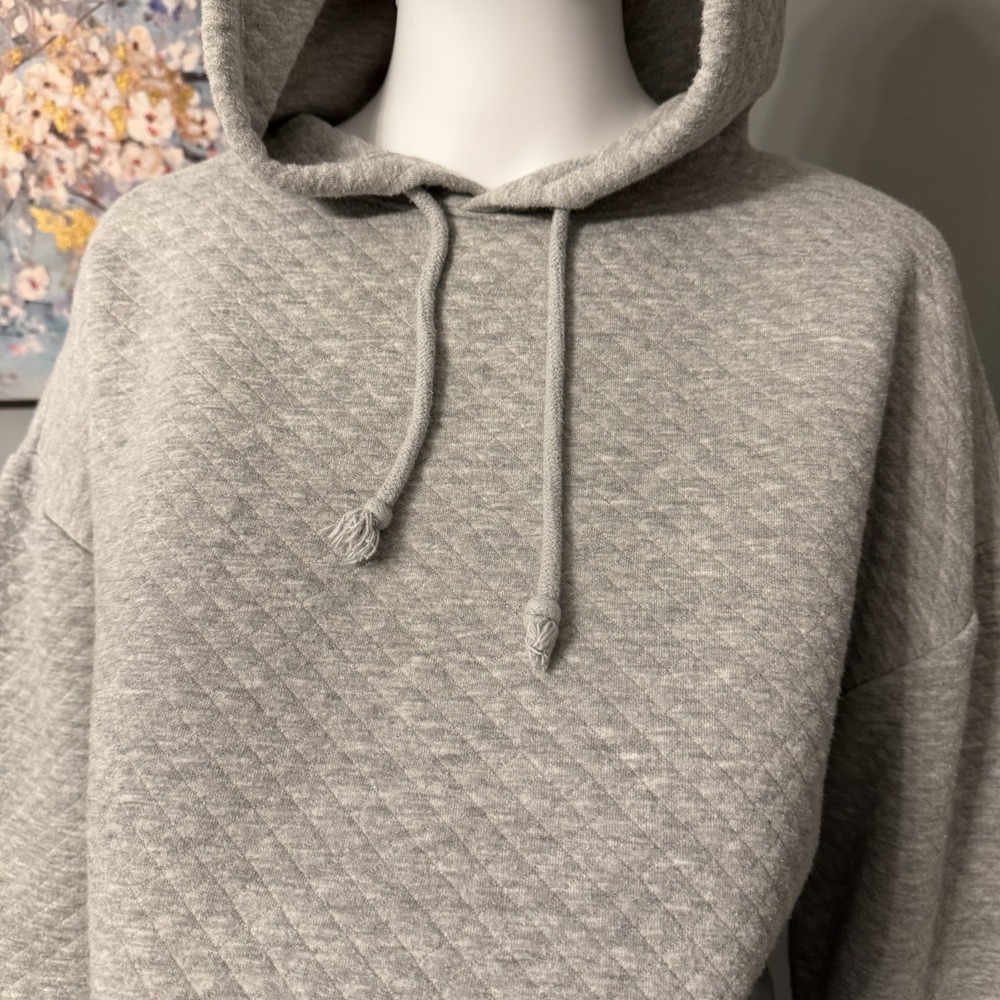 Streetcore College Prep Women's Cropped Hoodie Size M Gray Y2K Wild Fable - Picture 2 of 8